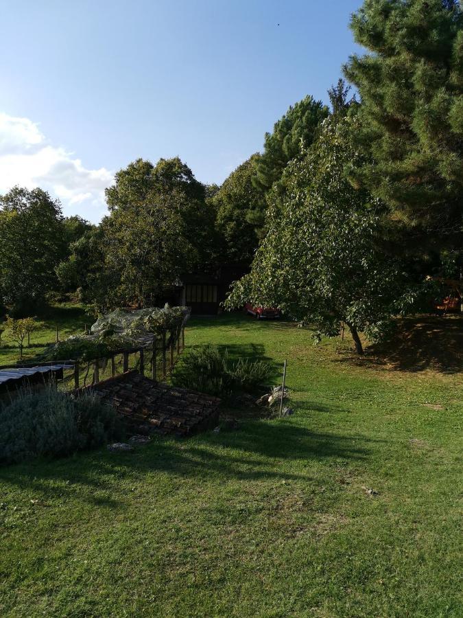 Apartman MARIJETA Moscenicka Draga Bagian luar foto