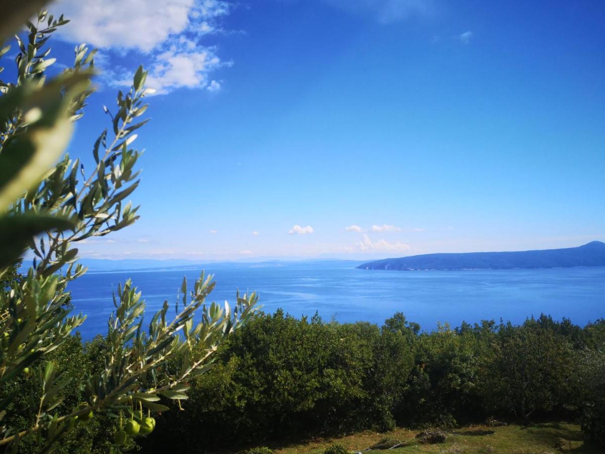 Apartman MARIJETA Moscenicka Draga Bagian luar foto